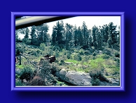 Thumbnail 1948 War Wreckage